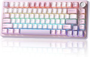 75% Wireless Mechanical Keyboard